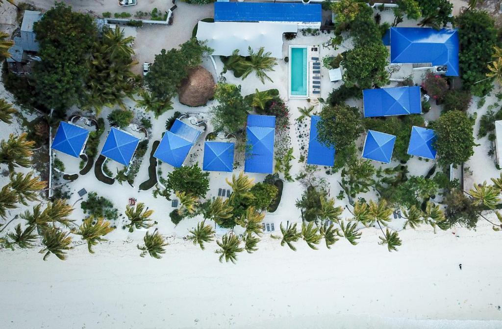 Indigo Beach Zanzibar fotografia 1