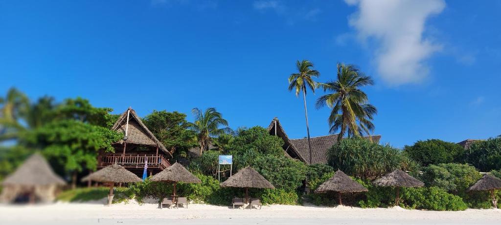 Kena Beach Hotel Zanzibar fotografia 1
