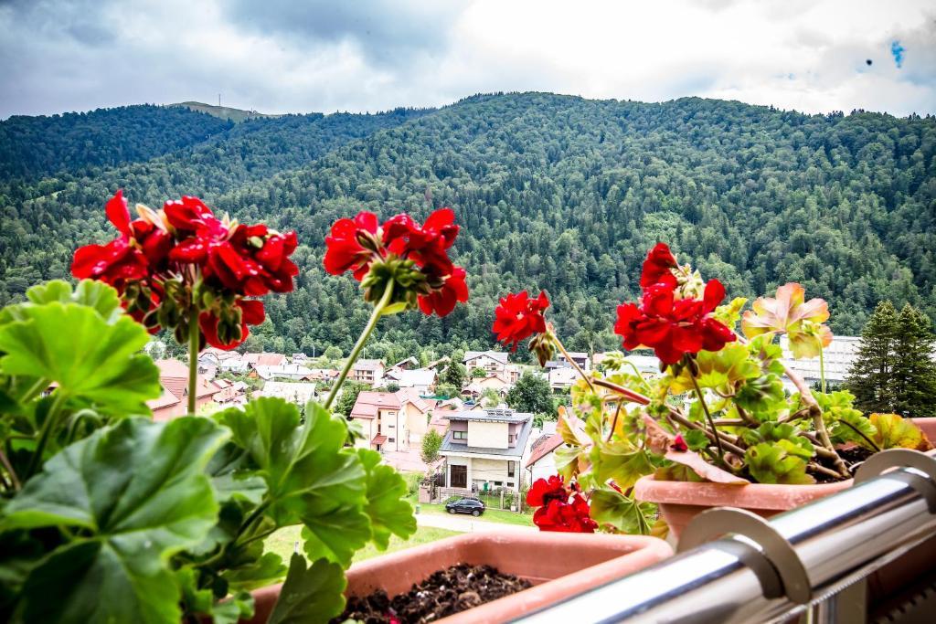 Complex Carpat Inn fotografia 1