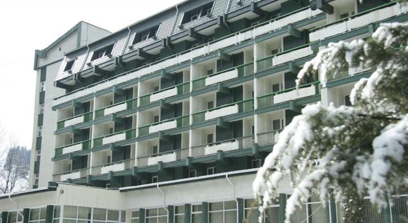 Hotel Bradul fotografia 1