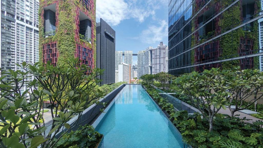 Sofitel Singapore City Centre fotografia 1
