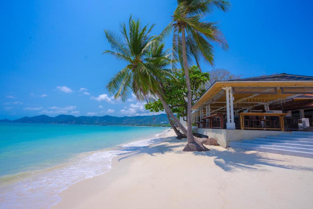 Chaweng Regent Beach Resort fotografia 1